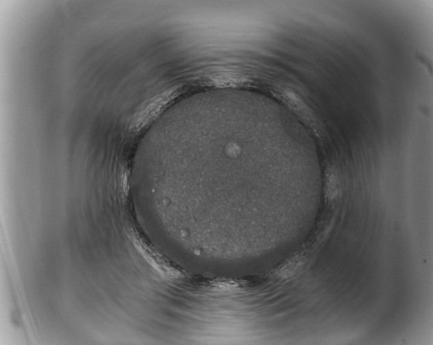 X0000102300405200808011544