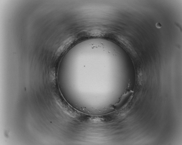 X0000102300407200808011544