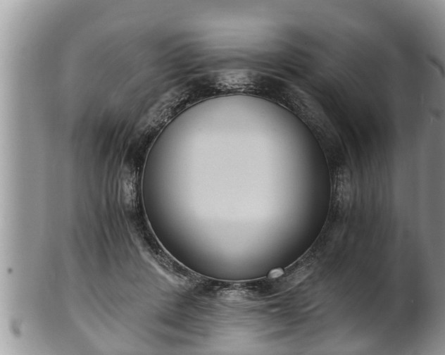 X0000102300408200808011544