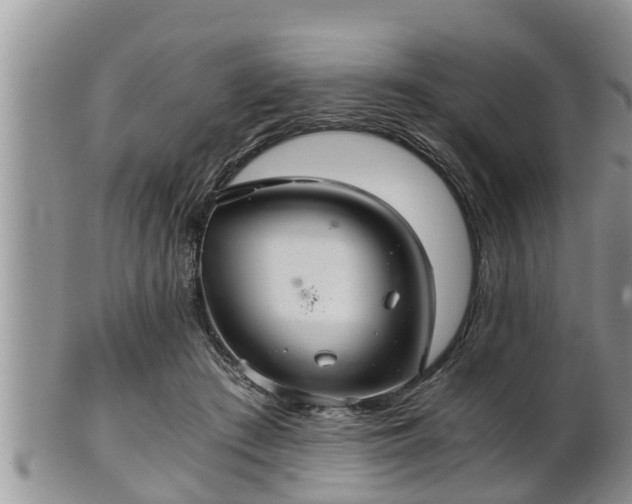 X0000102300409200808011544