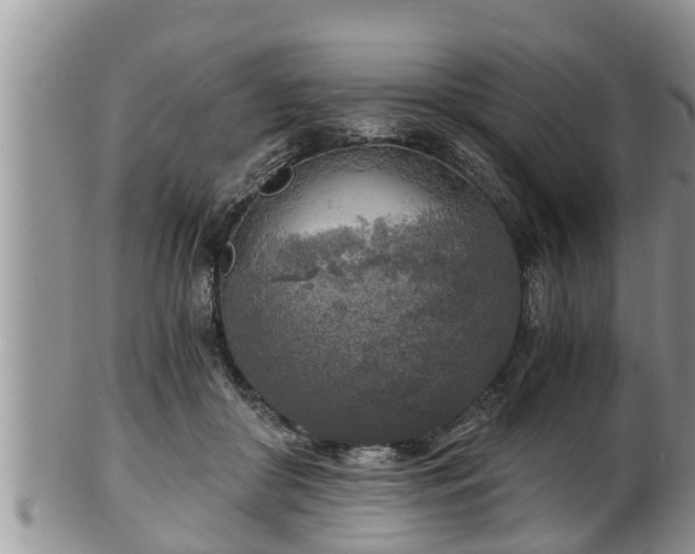 X0000102300410200808011544