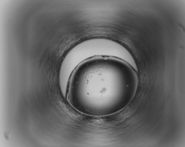 X0000102300411200808011544