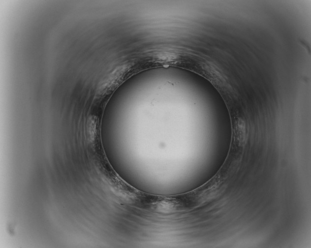 X0000102300412200808011544