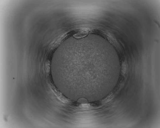 X0000102300413200808011544