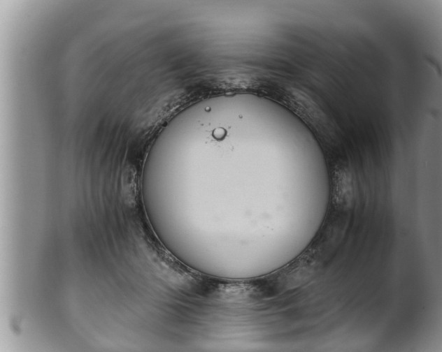 X0000102300414200808011544