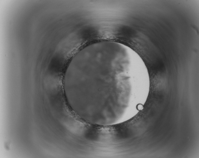 X0000102300415200808011544