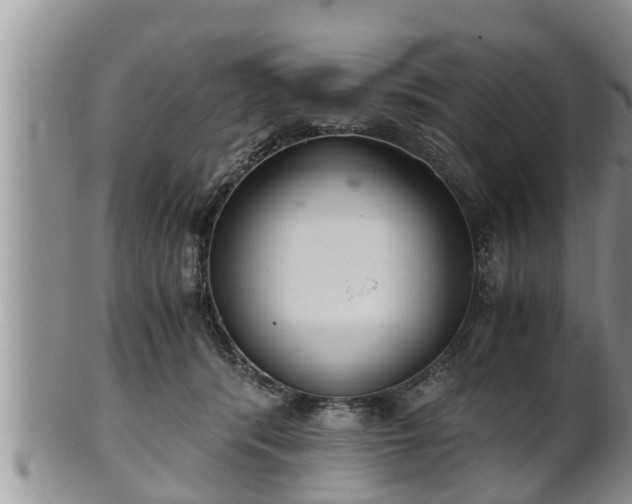 X0000102300416200808011544