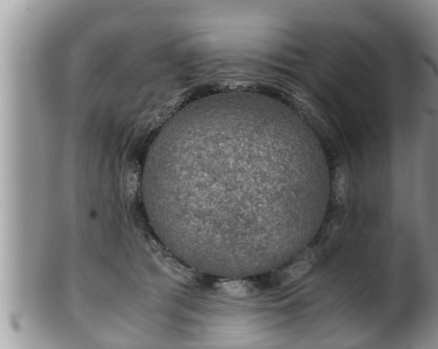 X0000102300417200808011544