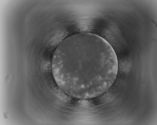 X0000102300419200808011544