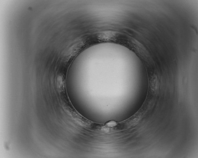 X0000102300420200808011544