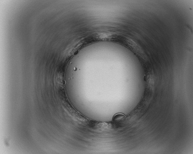 X0000102300421200808011544