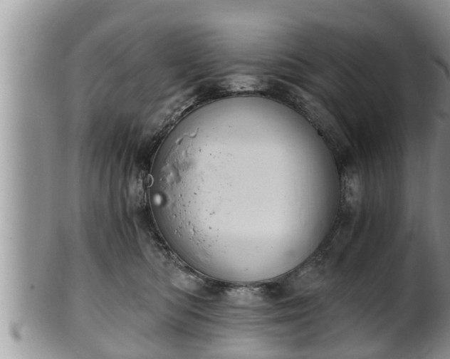 X0000102300422200808011544