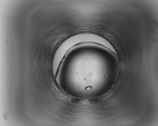 X0000102300423200808011544