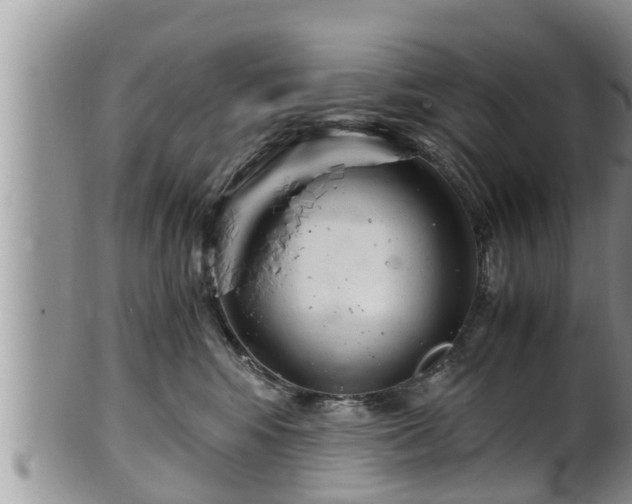 X0000102300424200808011544