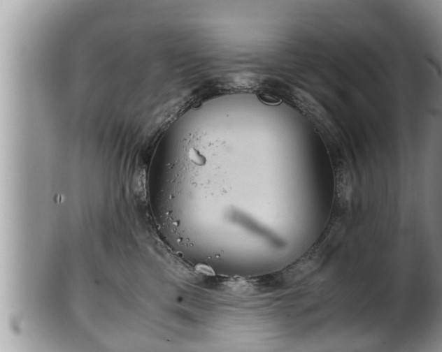 X0000102300425200808011544