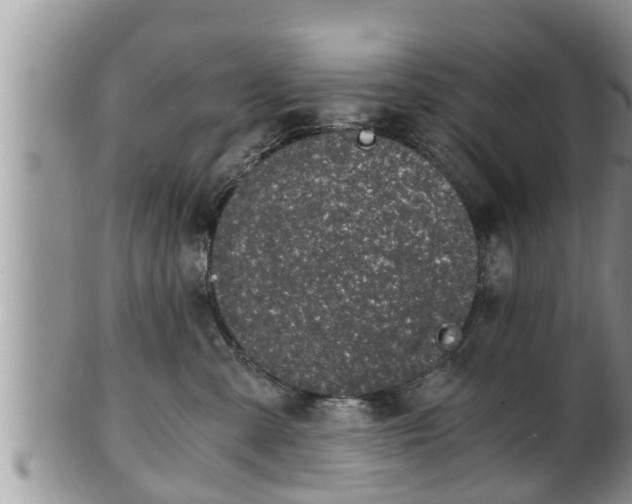 X0000102300427200808011544