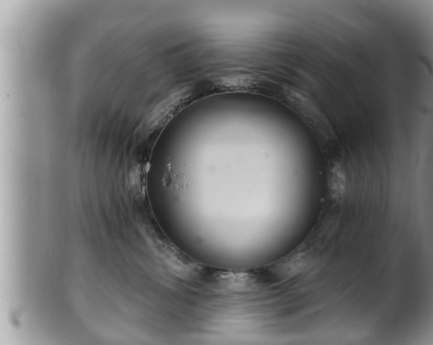 X0000102300428200808011544