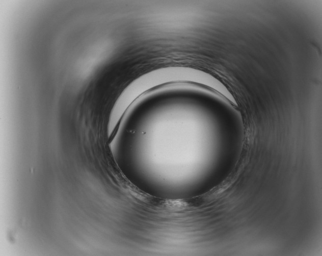 X0000102300429200808011544