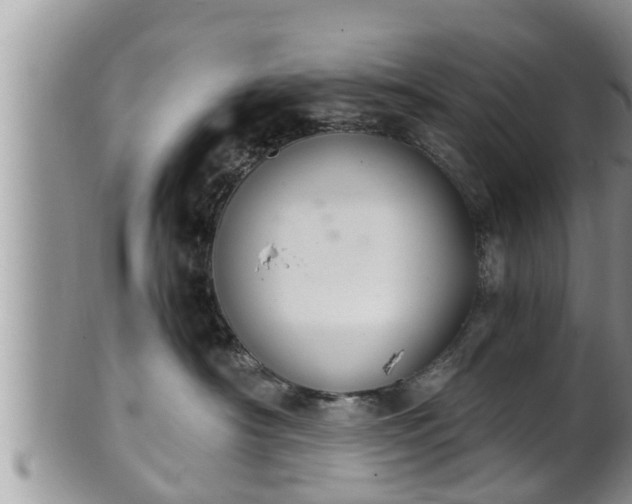 X0000102300430200808011544