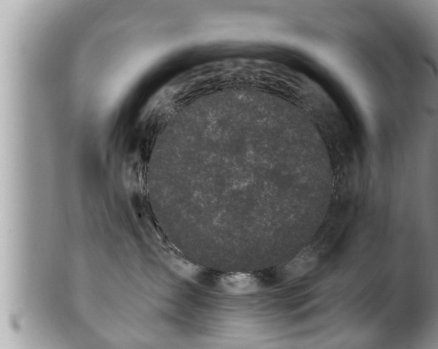 X0000102300431200808011544