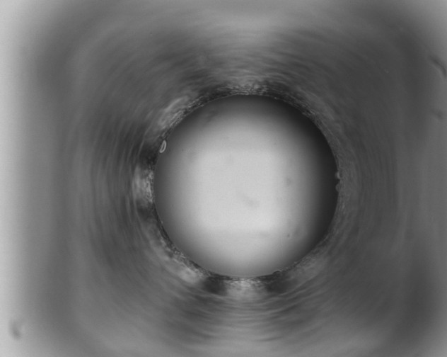 X0000102300432200808011544