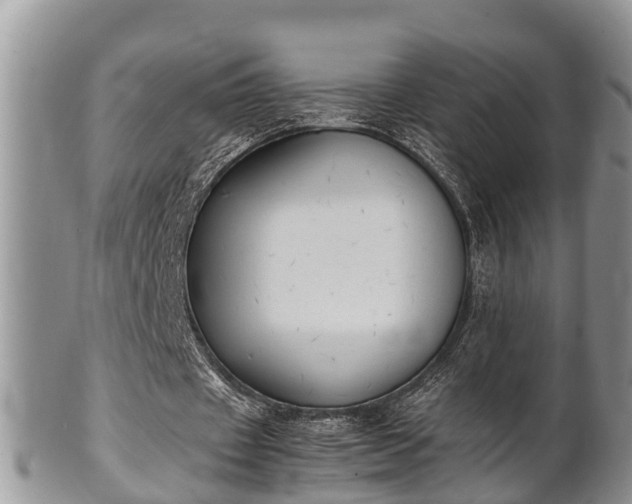 X0000102300433200808011543