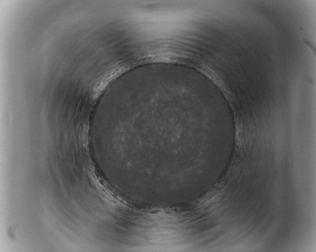 X0000102300434200808011543