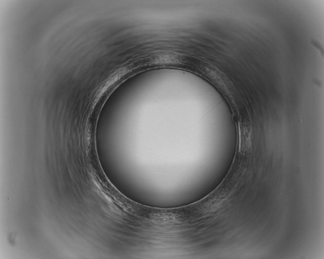 X0000102300435200808011543