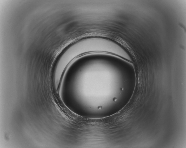 X0000102300436200808011543