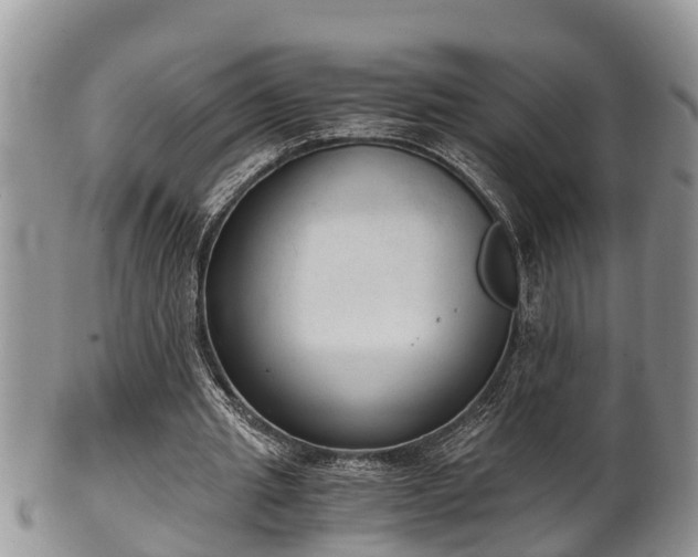 X0000102300437200808011543