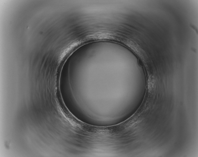 X0000102300438200808011543