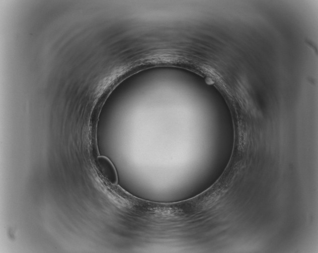 X0000102300439200808011543