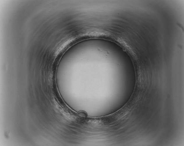 X0000102300440200808011543