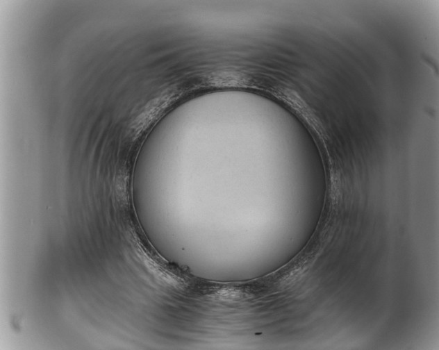 X0000102300441200808011543