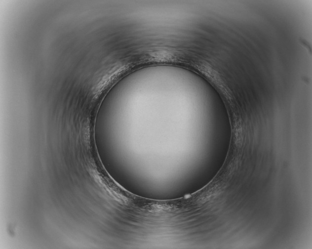 X0000102300442200808011543