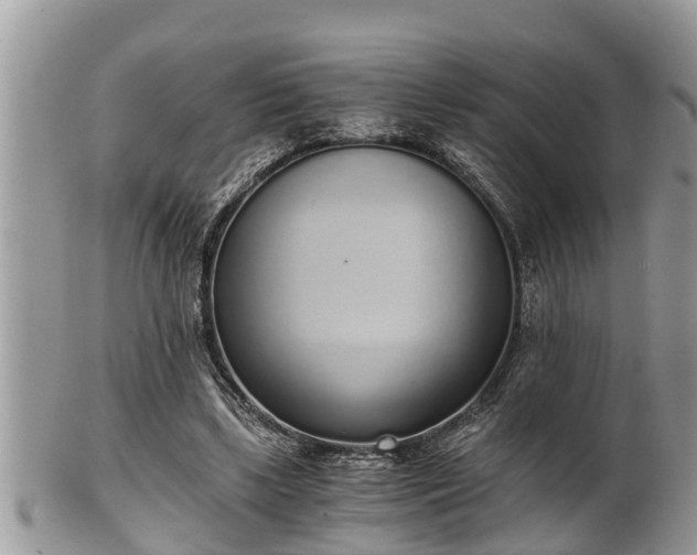 X0000102300443200808011544