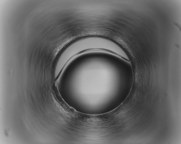 X0000102300444200808011544