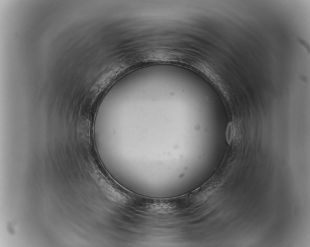 X0000102300445200808011544