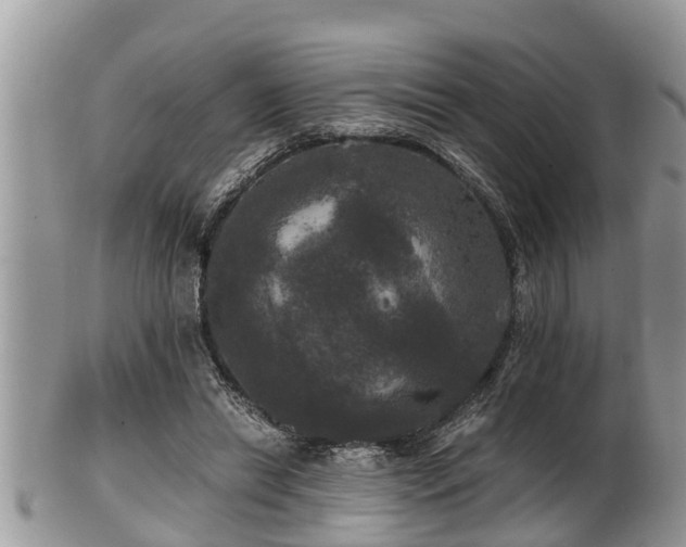 X0000102300446200808011544