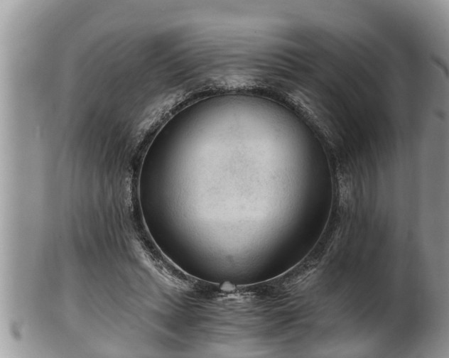 X0000102300447200808011544