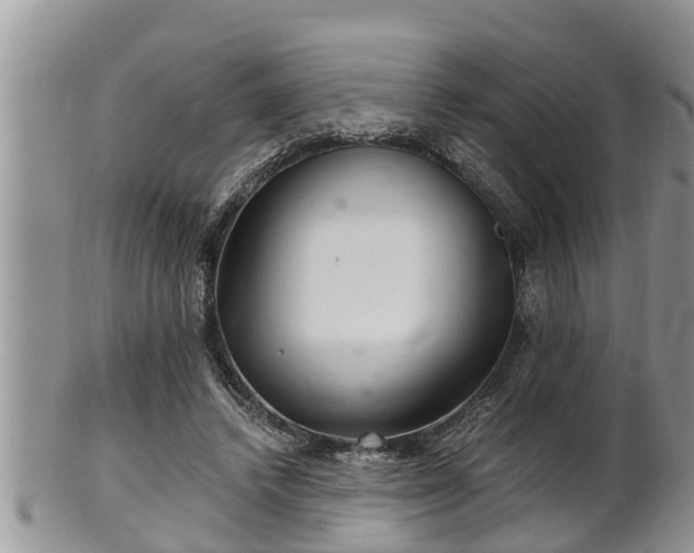 X0000102300448200808011544