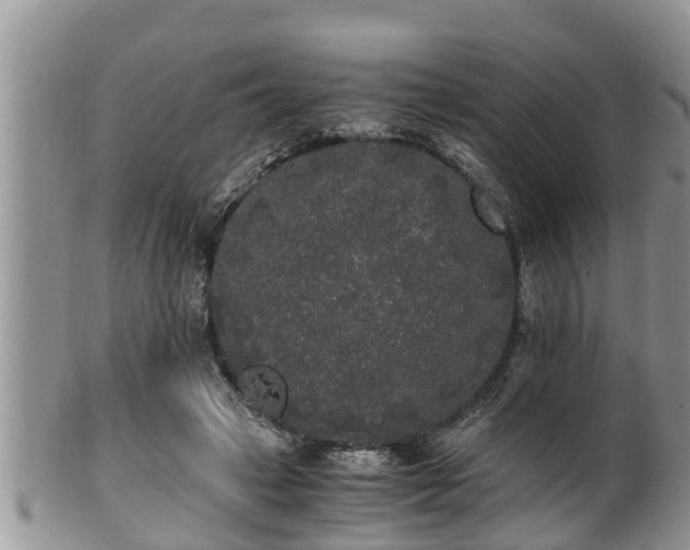 X0000102300449200808011544