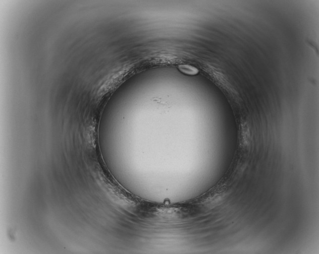 X0000102300450200808011544