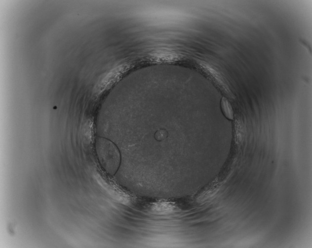 X0000102300451200808011544