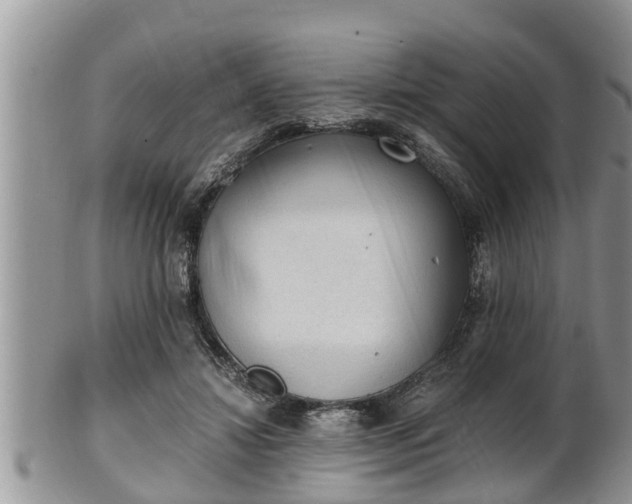 X0000102300452200808011544