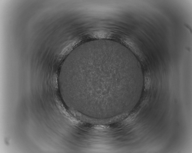 X0000102300453200808011544