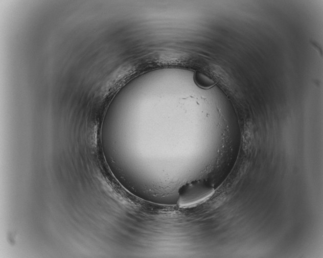 X0000102300454200808011544