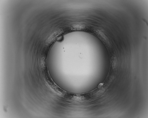 X0000102300455200808011544