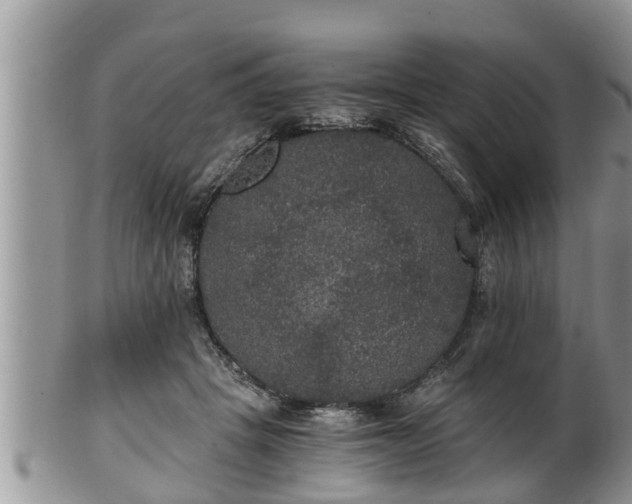 X0000102300457200808011544