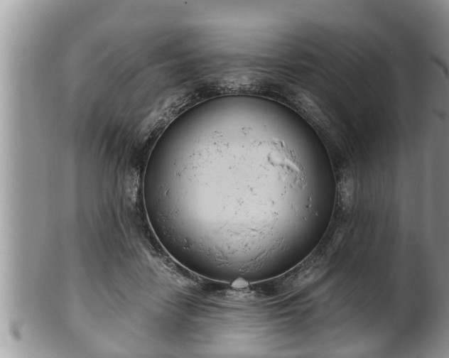 X0000102300458200808011544